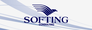 Softing Consulting