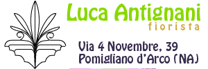 Antignani Luca fiorista